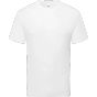 fruit of the loom Pure cotton T white