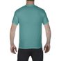 Comfort colors Adult Tee seafoam