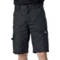 Dickies Short EVERYDAY homme black