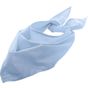Sol's Bandana ciel