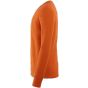 Pelot Nino Mandarine