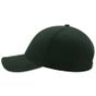 Atlantis Liberty Sandwich Cap forest_green/white