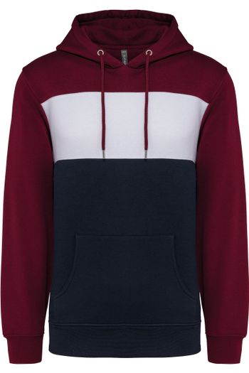 Image produit Sweat-shirt tricolore à capuche unisexe