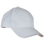 Carson contrast Contrast Sandwich Cap white/grey