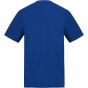 AWDis T AWDIS 180 T royal_blue