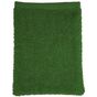The One Towelling Classic Washcloth green