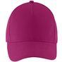 Sol's Buzz fuchsia