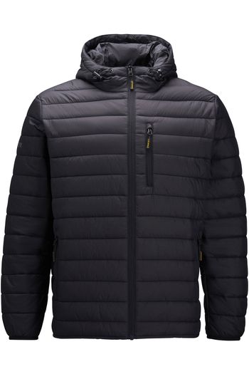 Image produit Veste rembourrée Westby