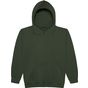 AWDis Just Hoods Kids Hoodie forest_green