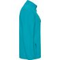 Roly Nebraska aquamarine