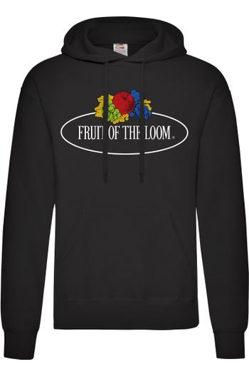 Image produit Vintage Hooded Sweat Classic Large Logo Print