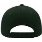 Atlantis Liberty Five Cap bottle_green