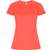 Corail fluo