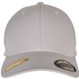 flexfit Flexfit Recycled Polyester Cap silver