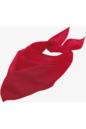 Image produit Bandana