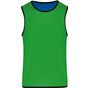 ProAct Chasuble de rugby réversible sporty_royal_blue/green