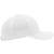 flexfit Curved Classic Snapback white