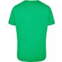 Build Your Brand T-Shirt Round Neck grass_green