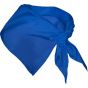 Stamina FESTERO bleu_royal