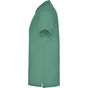 Roly Star dark_mint