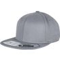 flexfit Fitted Snapback grey