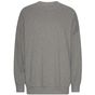 Tiger Cotton Oversized Sweatshirt sport_grey