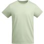 Roly Breda vert_mist