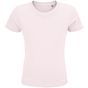 Sol's Crusader Kids rose_pale