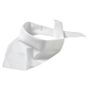 Myrtle Beach Triangular Scarf white