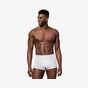Stedman Dexter Boxers