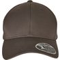 flexfit 110 Curved Visor Snapback dark_grey