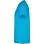 Roly Star turquoise