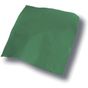 Atlantis Bandana Goal green