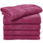 SG Accessories - Towels Rhine Guest Towel 30x50 cm raspberry