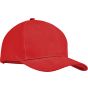 Sol's Tekapo rouge_vif