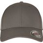 flexfit Alpha Shape Flexfit Cap dark_grey