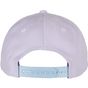 flexfit 5-Panel Premium Curved Visor Snapback Cap light_purple