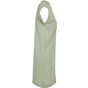 Build Your Brand Ladies Turtle Extended Shoulder Dress soft_salvia