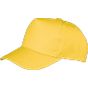 Result Boston Printers Cap yellow