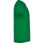 Roly Dogo Premium vert_tropical