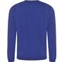 Pro RTX Sweat Pro royal_blue