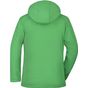 James&Nicholson Ladies' Wintersport Softshell green