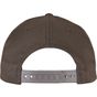 flexfit 110 Curved Visor Snapback dark_grey