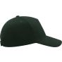 Atlantis Liberty Five Cap bottle_green