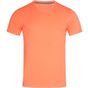 Stedman Clive Crew Neck salmon