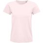 Sol's Pioneer Women rose_pale