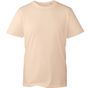 Anthem T-shirt homme Anthem desert_sand