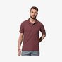 Stedman Polo