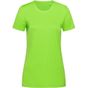 Stedman Sports-T kiwi_green