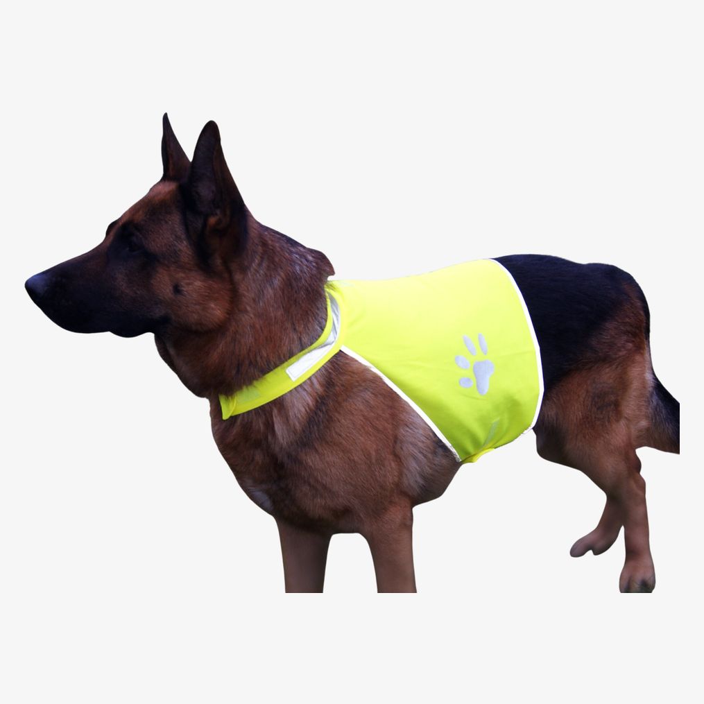 Gilet de signalisation pour chien Korntex